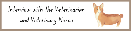 Interview With The Veterinarians and Veterinary Nurses